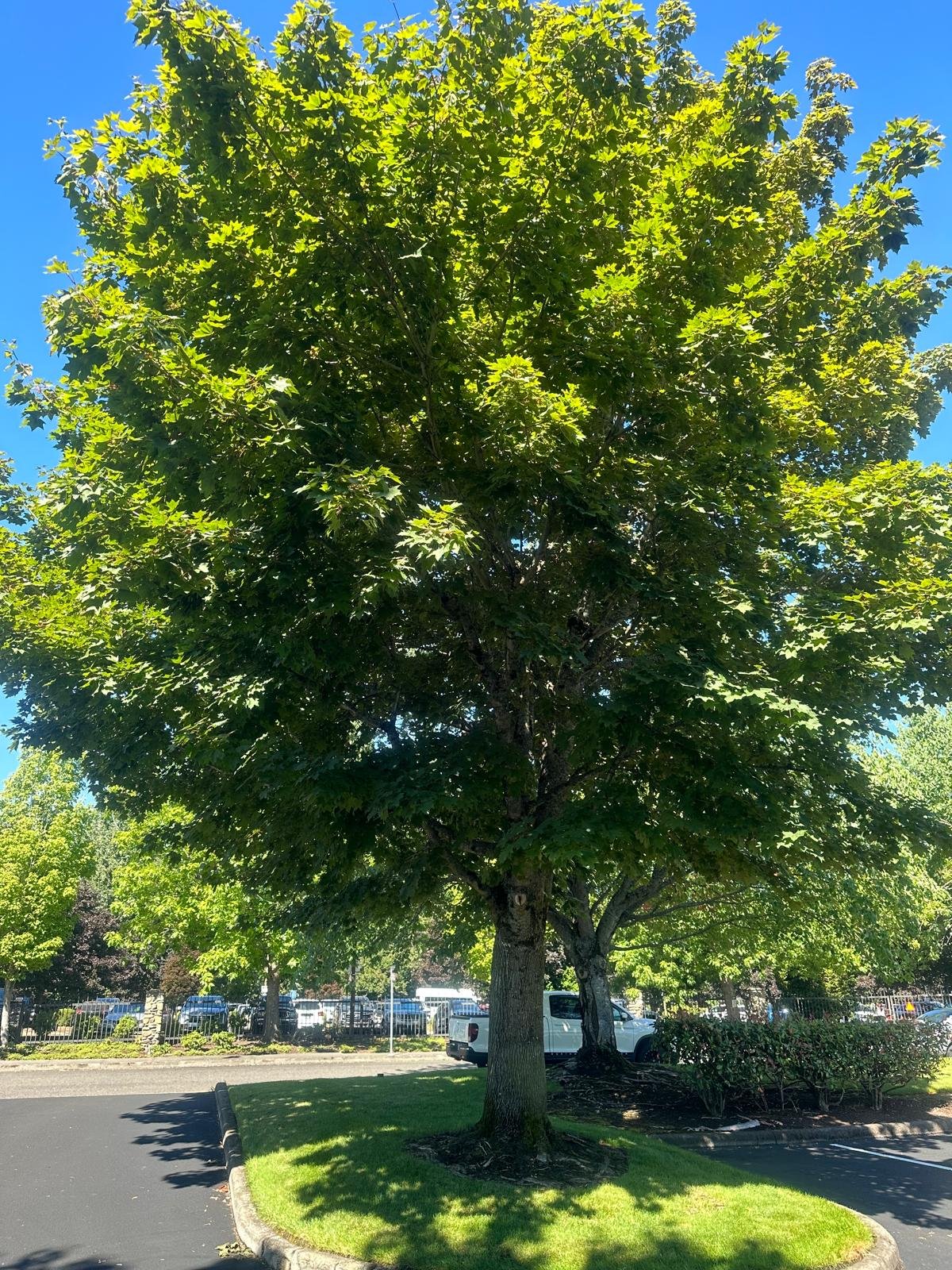 Imagen de WhatsApp 2025-02-03 a las 17.14.51_50d9bed1