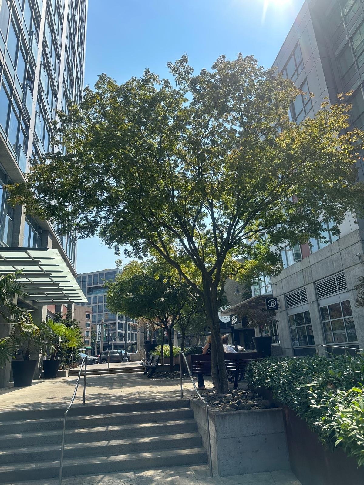 Imagen de WhatsApp 2025-02-03 a las 17.14.52_29d8df40