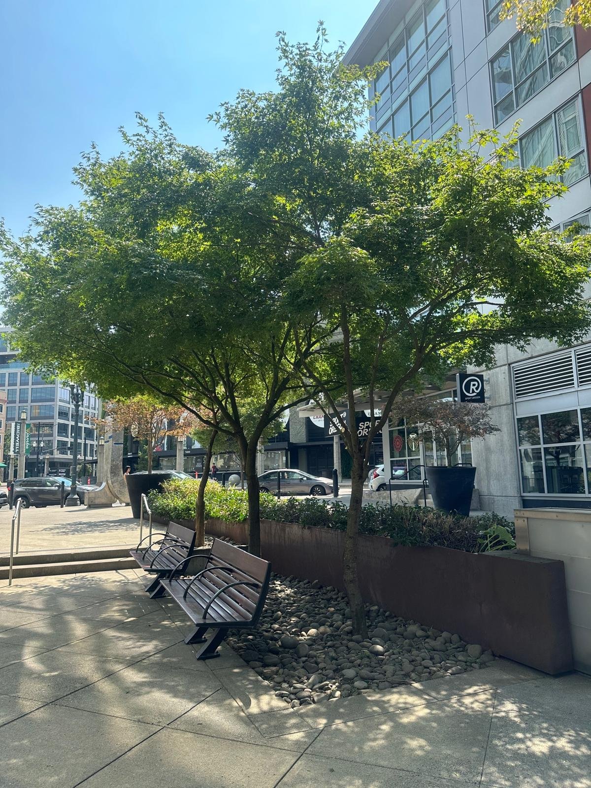 Imagen de WhatsApp 2025-02-03 a las 17.14.52_9d1f62a3