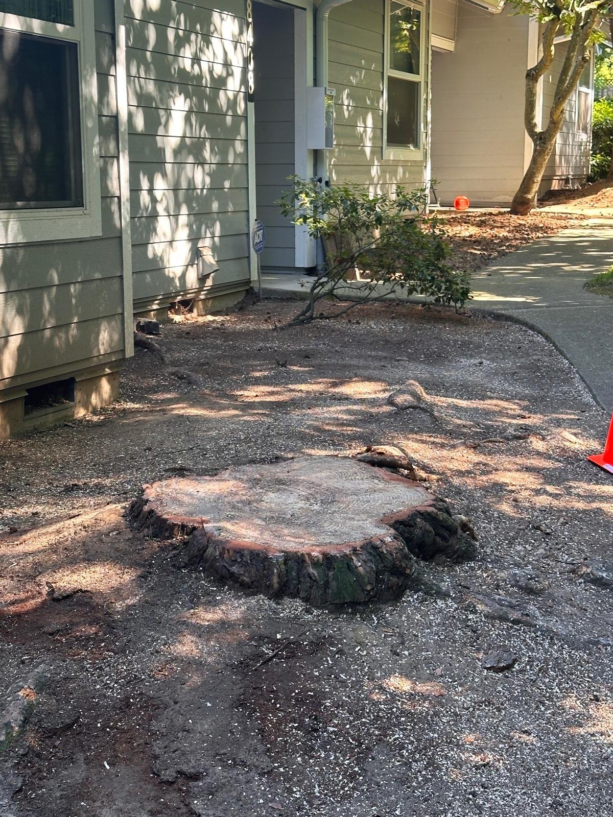 Imagen de WhatsApp 2025-02-03 a las 17.14.53_447d7c41