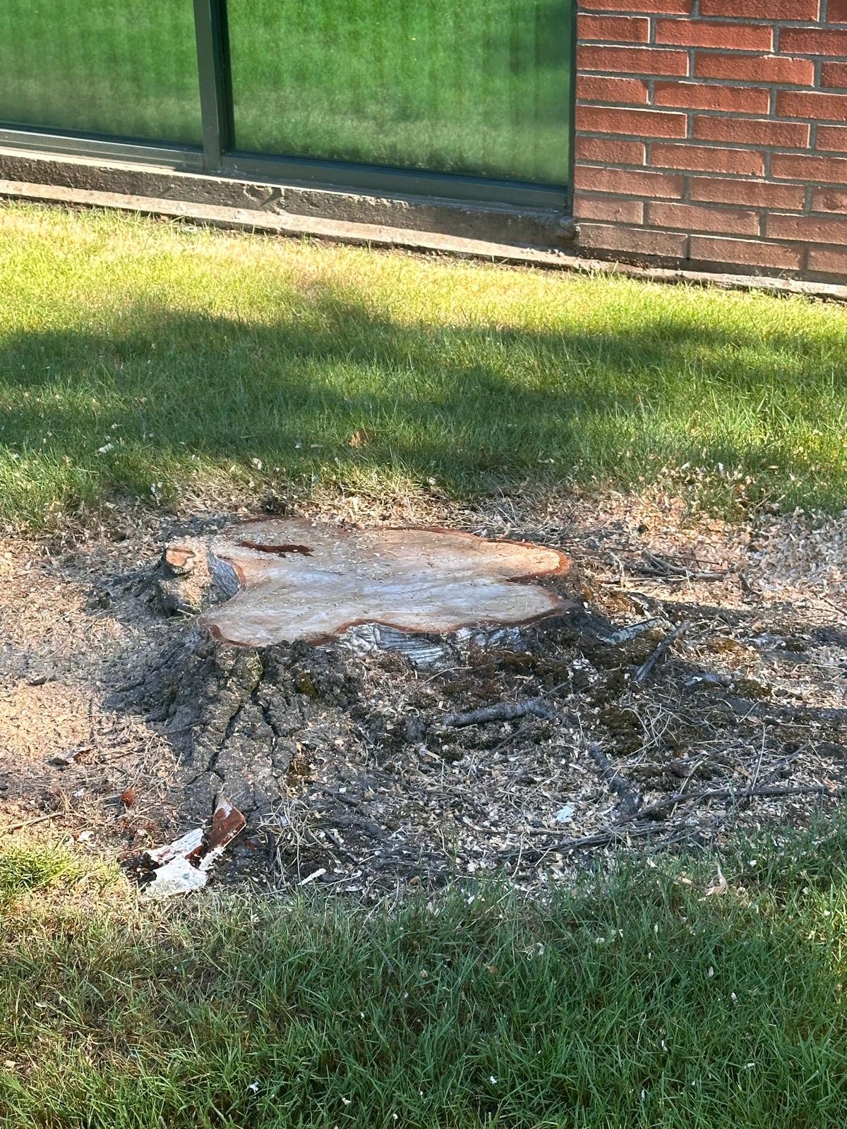 Imagen de WhatsApp 2025-02-03 a las 17.14.55_7536bc38