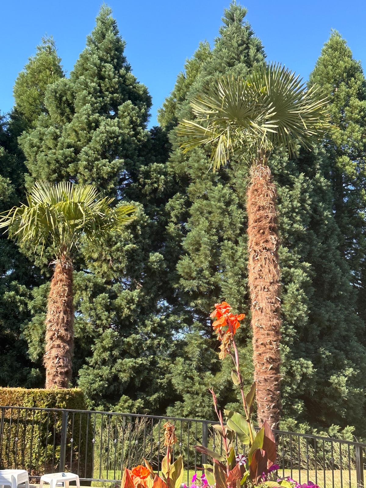 Imagen de WhatsApp 2025-02-03 a las 17.14.56_8053577f