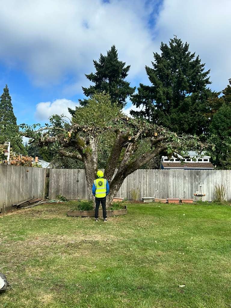 WhatsApp Image 2026-02-24 at 10.14.26 AM