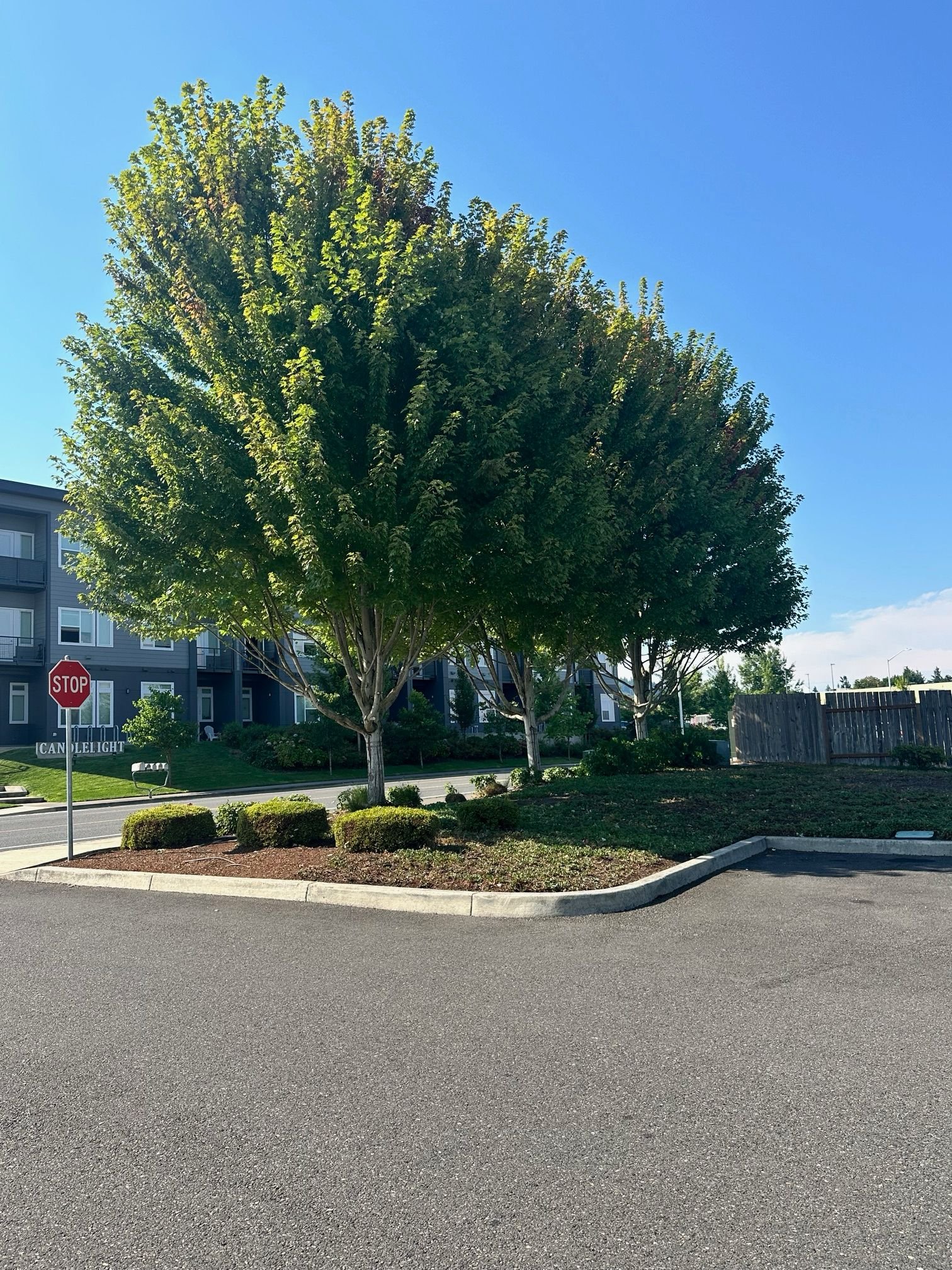 WhatsApp Image 2026-02-24 at 10.16.58 AM